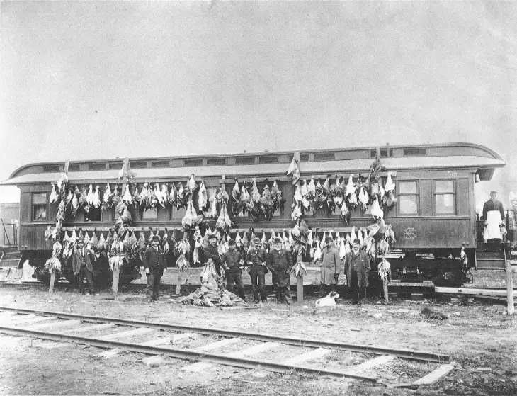Egy 1890-es években lezajlott vadászat eredménye