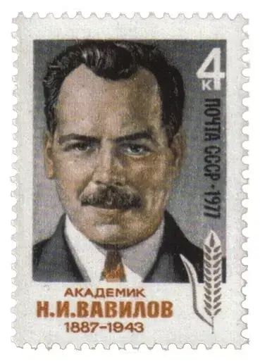 Vavilov tiszteletére kiadott bélyeg, 1977-ből