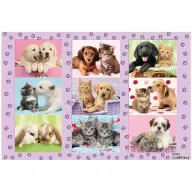 SCHMIDTSPIELE Puzzle játék 100 darabos My Animal Friends