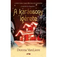 Donna VanLiere - A karácsony ígérete