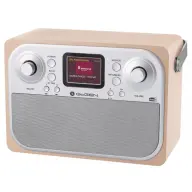 GOGEN DAB700BTCS DAB Radio braun-silber