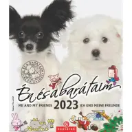 CSG Naptár fali Én és a barátaim