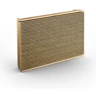 BANG-OLUFSEN 1200498 BeoSound Level zlato
