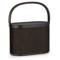 BANG-OLUFSEN 1254100 Beosound A5 hrast