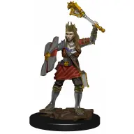 WIZK!DS Human Cleric Male prémium kalandjáték figura