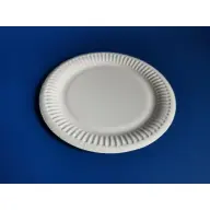 14251 Paper tray 11x17cm 250 pcs/pack
