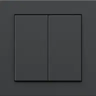 SENIC 100120 Friends of Hue Smart Switch