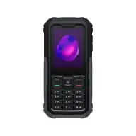 TCL 3189D 4G DS grau