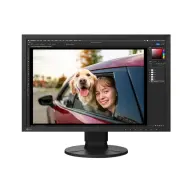 EIZO CS2400R