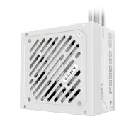 GIGABYTE P550SS ICE 550W 80 Plus Silver PSU