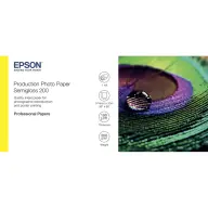 EPSON C13S450377 Svijetao fotopapir 36"x30m 200g