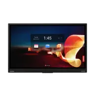 LENOVO ThinkVision T65