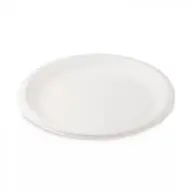 101005016 Party PLA Plate Biodegradable 22.8cm 50 pcs