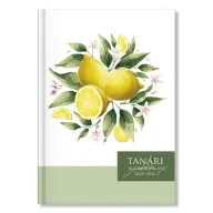 PATRIA Design Tanári zsebkönyv 2025-2026 Lemon