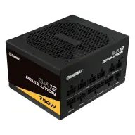 ENERMAX ETV750G Modularni 750W 80 Plus Gold napajanje