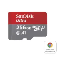 SANDISK Ultra 256GB MicroSDXC 10 MB/s SDSQUAC-256G-GN6FA