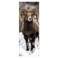 3D könyvjelző - Bighorn kanadai vadjuh