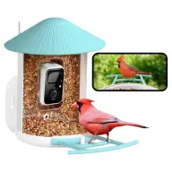 Birdfy intelligens madáretető (ingyenes AI egy életre)