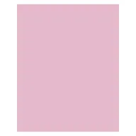 FOLIA Boja papir A3 130g 50 lap blijed roze