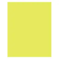 FOLIA Boja papir A3 130g 50 lap limeta zelena