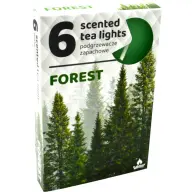 Scented tealight with forest scent 6 pcs