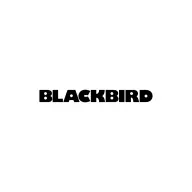 BLACKBIRD Átalakító Adapter HDMI male to DVI female fekete