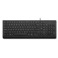 LENOVO Essential Wired Keyboard AI CZ/SK membránbillentyűzet USB 4Y41R64684