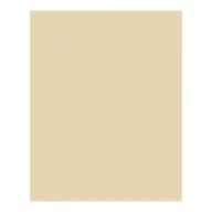 BRINGMANN FOLIA PAPER Dekorkarton 2 oldalas 50x70cm 220g 10 lap bézs FL61221010