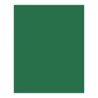 BRINGMANN FOLIA PAPER Dekorkarton 2 oldalas 50x70cm 220g 10 lap fenyőzöld FL61221058