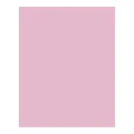 BRINGMANN FOLIA PAPER Dekorkarton 2 oldalas 50x70cm 220g halvány rózsaszín (10 lap) FL61221026