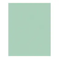 BRINGMANN FOLIA PAPER Dekorkarton 2 oldalas 50x70cm 220g 10 lap menta FL61221025