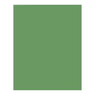 BRINGMANN FOLIA PAPER Dekorkarton 2 oldalas 50x70cm 220g mohazöld (10 lap) FL61221053