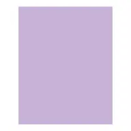 BRINGMANN FOLIA PAPER Dekorkarton 2 oldalas 50x70cm 220g 10 lap orgonalila FL61221031