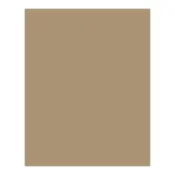 BRINGMANN FOLIA PAPER Dekorkarton 2 oldalas 50x70cm 220g 10 lap őzbarna FL61221075