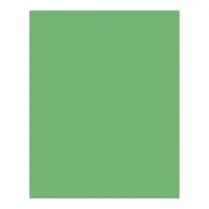 BRINGMANN FOLIA PAPER Dekorkarton 2 oldalas 50x70cm 220g smaragdzöld (10 lap) FL61221054
