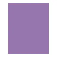 BRINGMANN FOLIA PAPER Dekorkarton 2 oldalas 50x70cm 220g 10 lap sötét orgonalila FL61221028