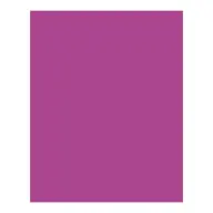 BRINGMANN FOLIA PAPER Dekorkarton 2 oldalas 50x70cm 220g 10 lap sötét rózsaszín FL61221021