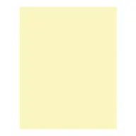 BRINGMANN FOLIA PAPER Dekorkarton 2 oldalas 50x70cm 220g szalmasárga (10 lap) FL61221011