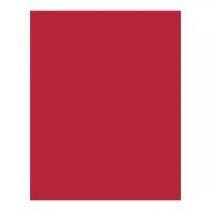 BRINGMANN FOLIA PAPER Dekorkarton 2 oldalas 50x70cm 220g 10 lap tűzpiros FL61221020