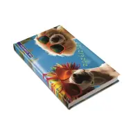 REALSYSTEM Diák zsebkönyv heti 2026/2027 tanév summer NAT531369U
