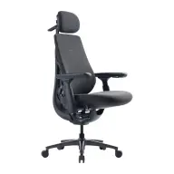 LIBERNOVO Dinamikus ergonomikus szék Maxis grafit MaxisEGraphite