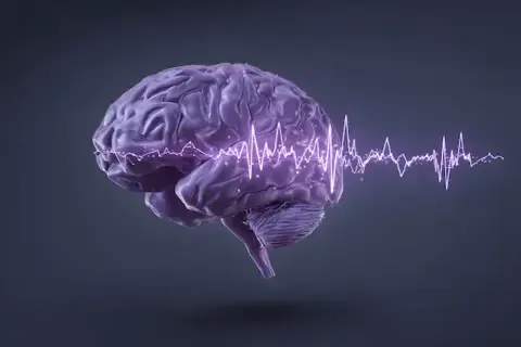 Winzige Sonden können helfen, die Funktionsweise des epileptischen Gehirns zu verstehen