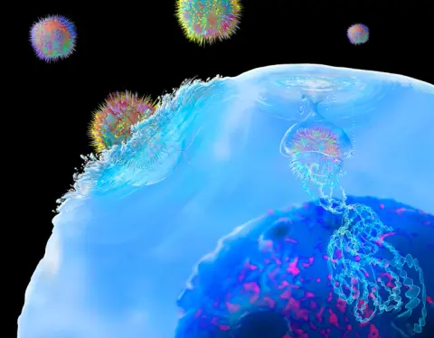 Belső immunterápia enyhítheti a szklerózis multiplex tüneteit
