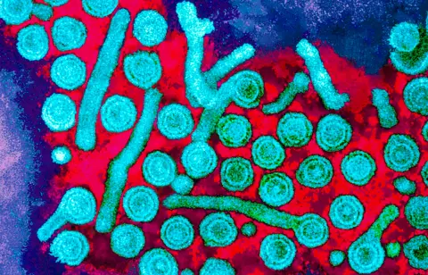 Epigenetische Genbearbeitung