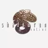 Shadowrun Online