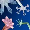 Geckskin ‒ a gekkót utánzó ragasztó