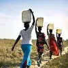 Automata szenzorokat kapnak az afrikai kutak