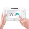 A Frozenbyte dicséri a Wii U boltját