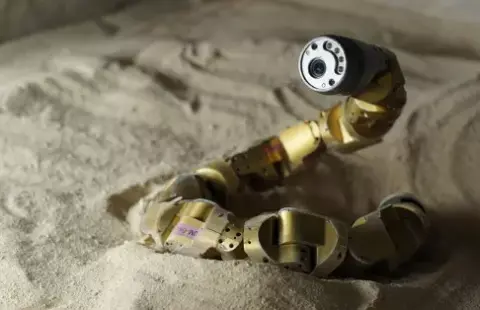 (Robot)kígyók és homokdűnék