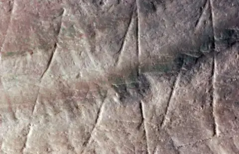 Egy Homo erectus munkája az első ismert művészeti alkotás